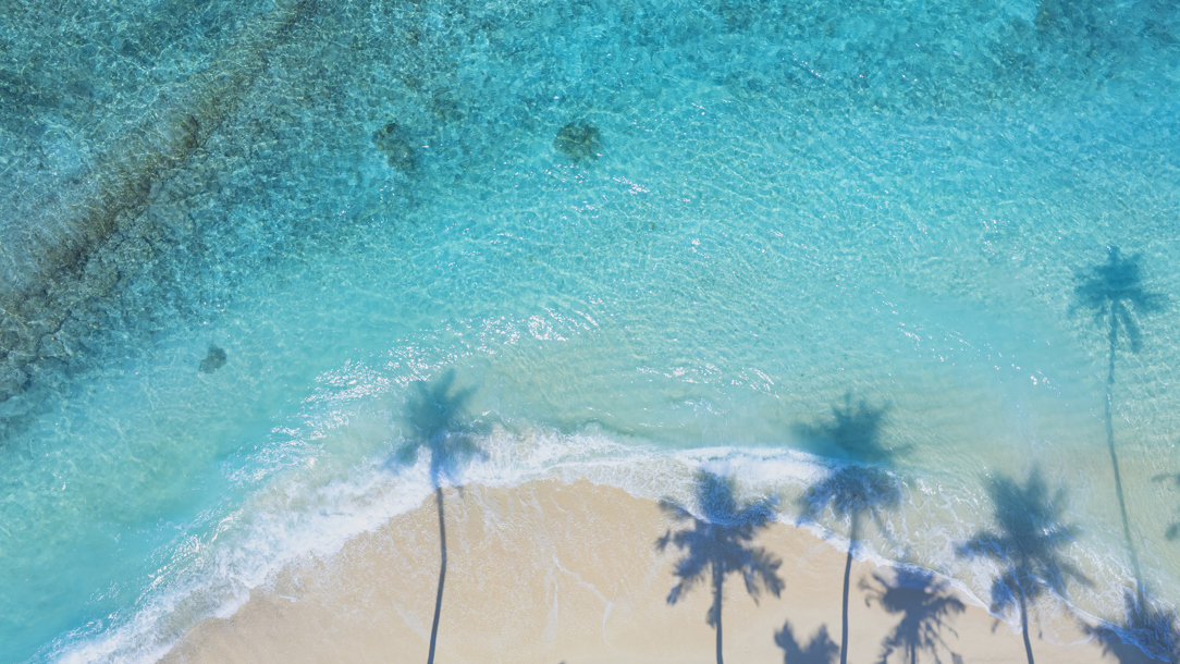 A beach in the Maldives seen from the air with the shadow of palm trees.