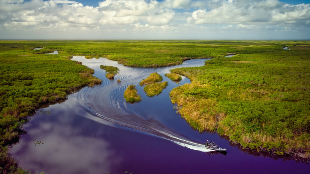 The Everglade National Park.