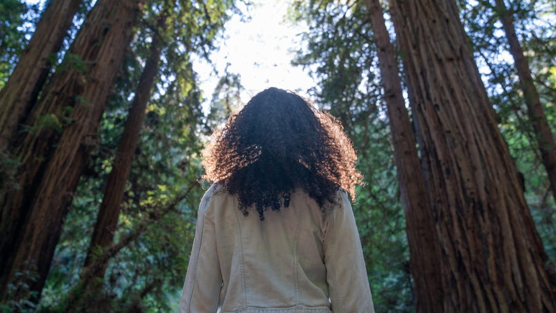 A person with long hair photographed from behind.