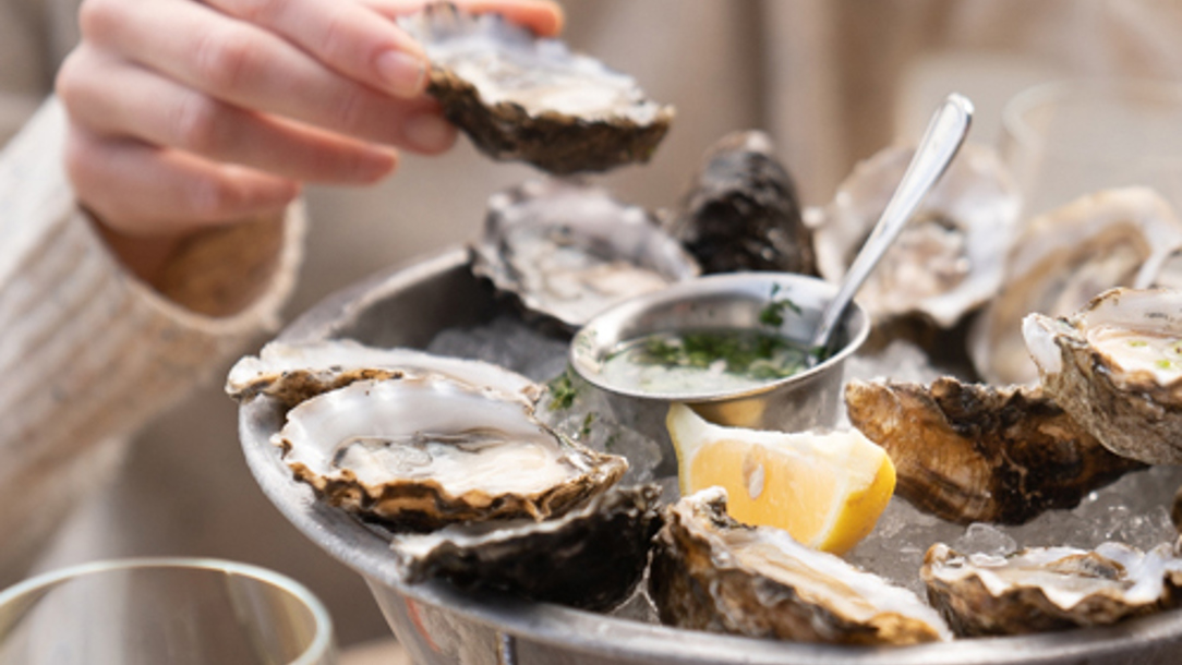 Food at the Hog Island Oyster Co.
